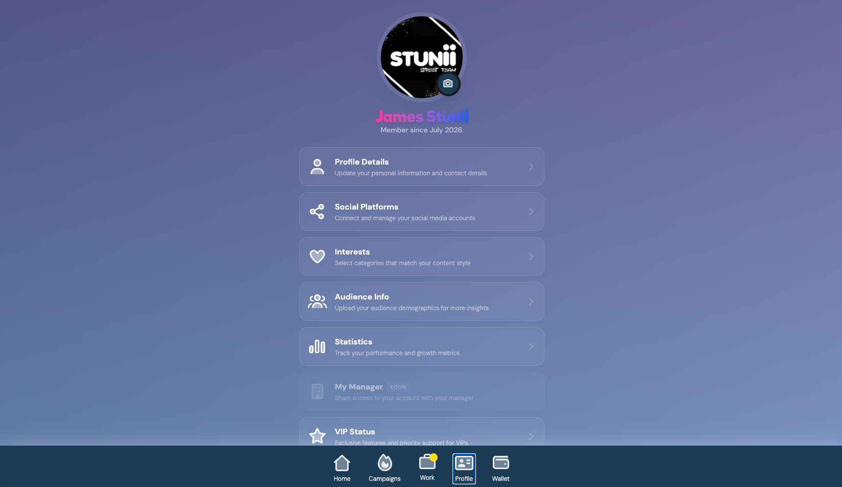 Professional Portfolio interface preview